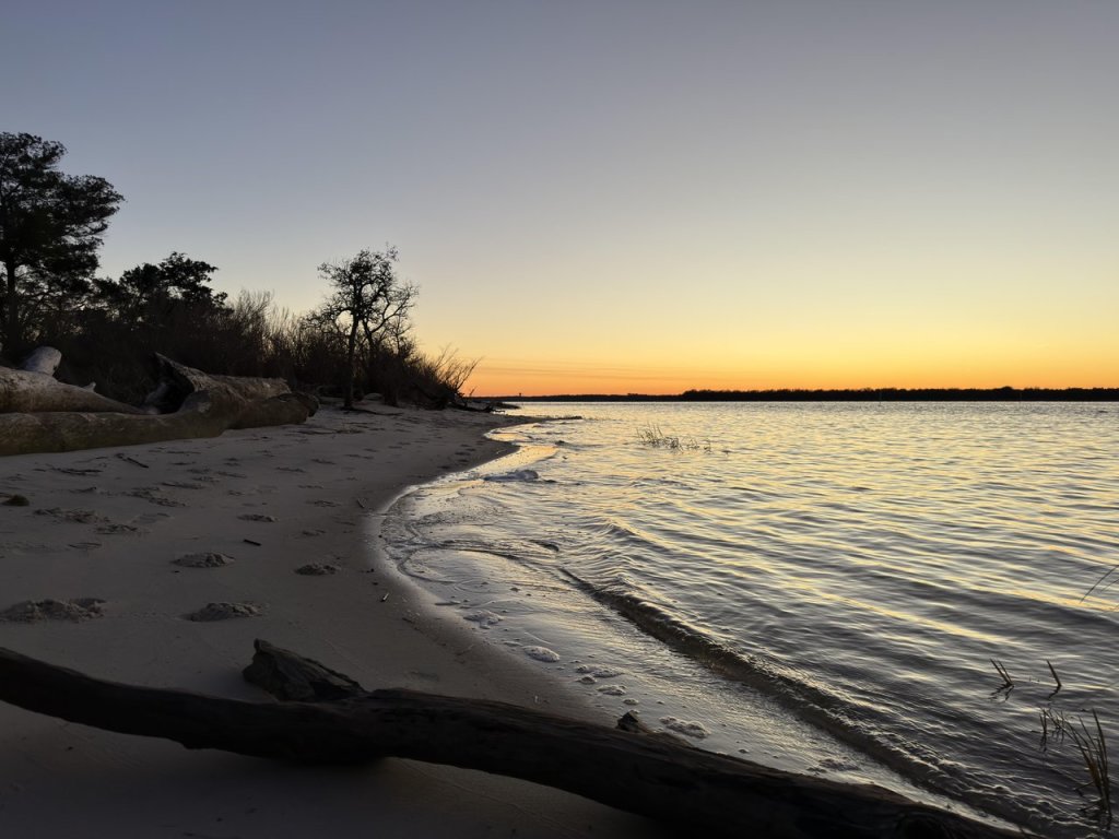 Carolina Beach State Park – photo 1