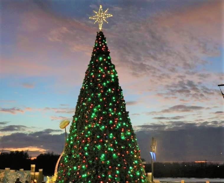 Downtown Wilmington Holiday Tree Lighting – photo 1