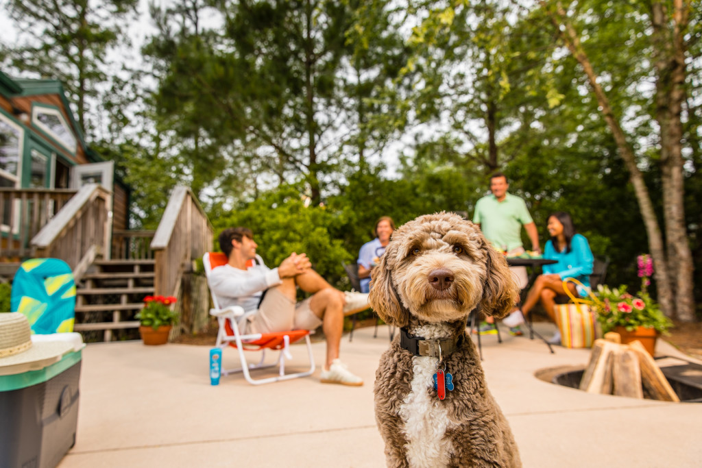 Wilmington KOA Holiday – photo 8
