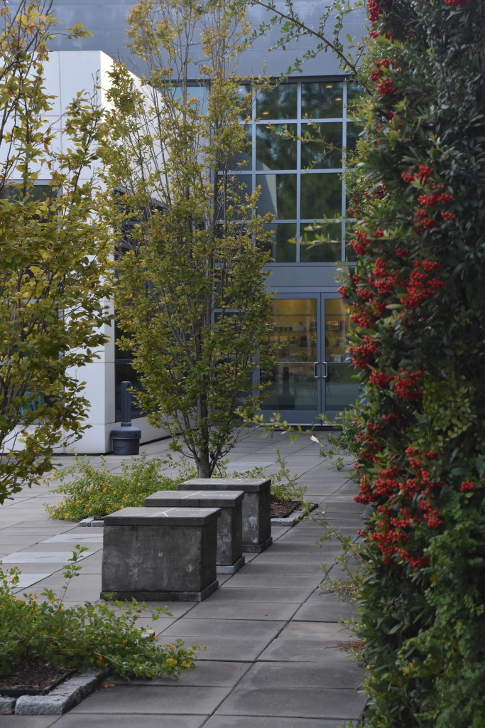Cameron Art Museum – photo 5