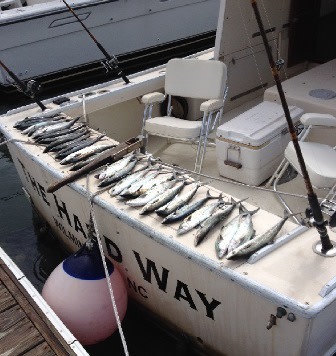 Deep Sea Express Charters – photo 4