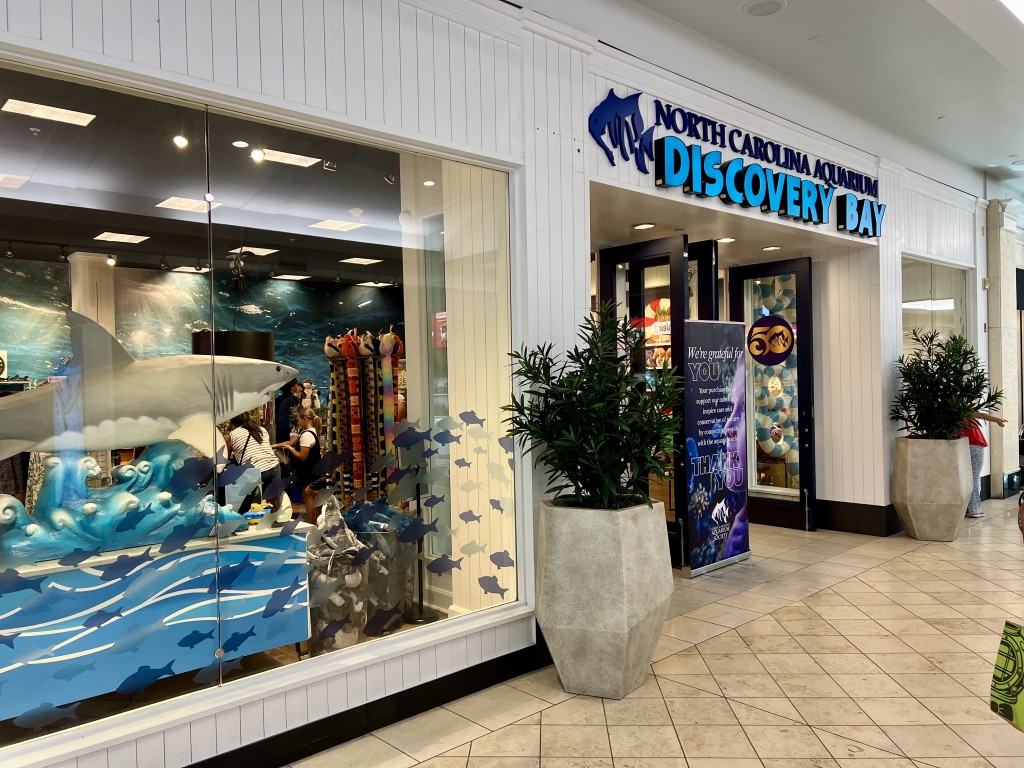 NC Aquarium Discovery Bay – photo 2