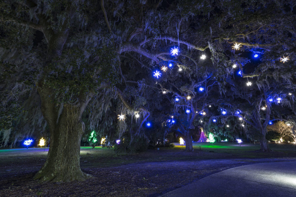 Airlie Gardens – photo 11