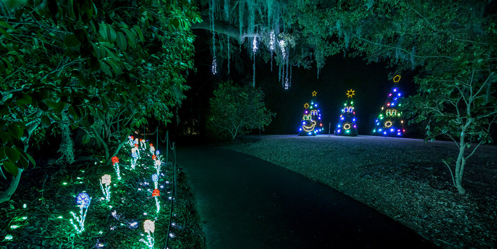 Enchanted Airlie – photo 3