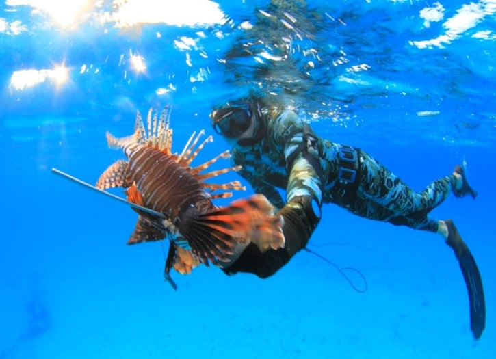 Evolve Freediving & Spearfishing – photo 1
