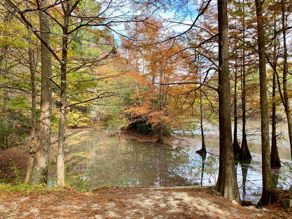 Abbey Preserve at Poplar Grove – photo 4