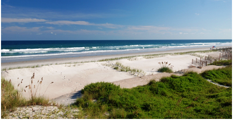 Figure Eight Island Realty – photo 2