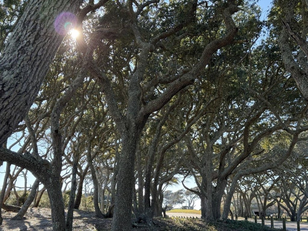 Fort Fisher State Historic Site