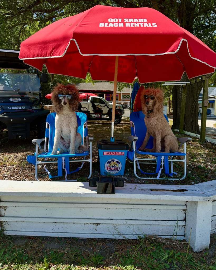 Got Shade Beach Rentals – photo 3
