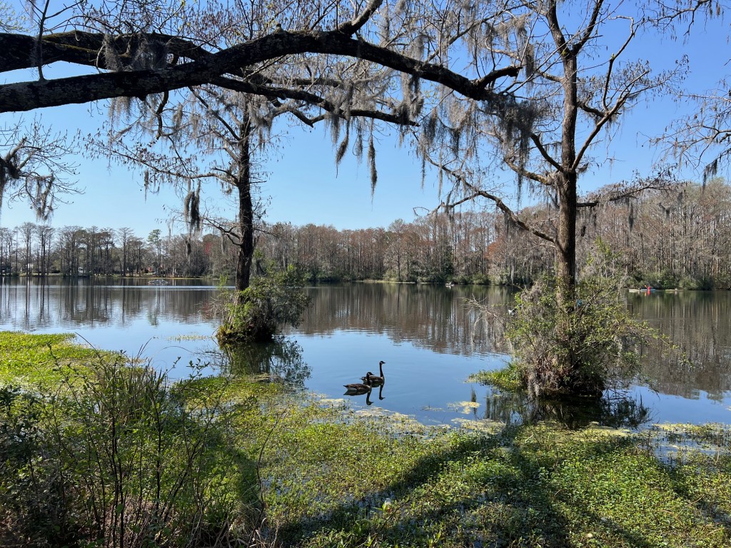 Greenfield Park – photo 1