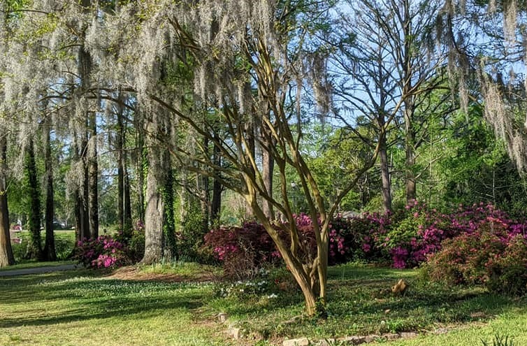 Greenfield Park – photo 9