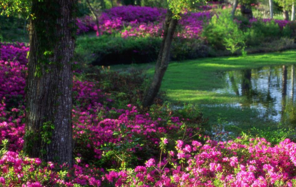 Greenfield Park – photo 4
