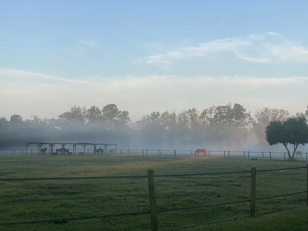 Hanover Stables – photo 2