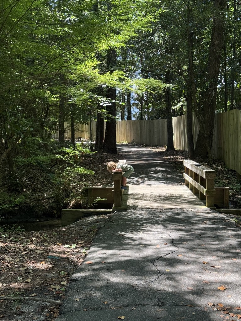 Summer Rest Trail – photo 3