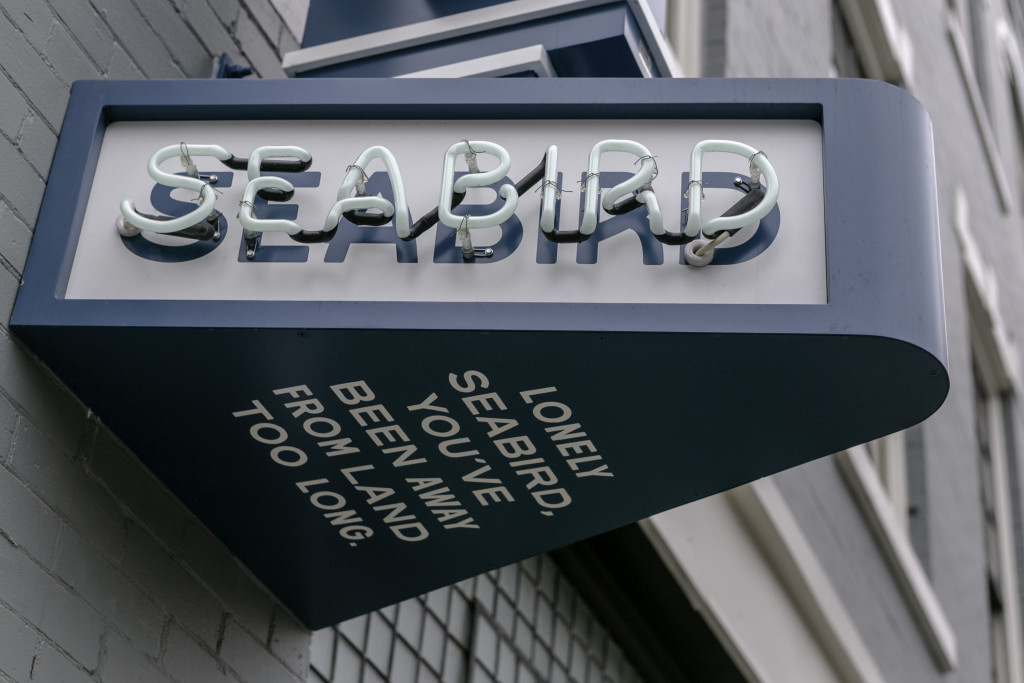 Seabird – photo 1