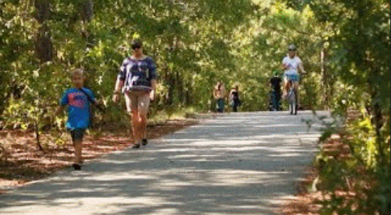 Island Greenway – photo 2