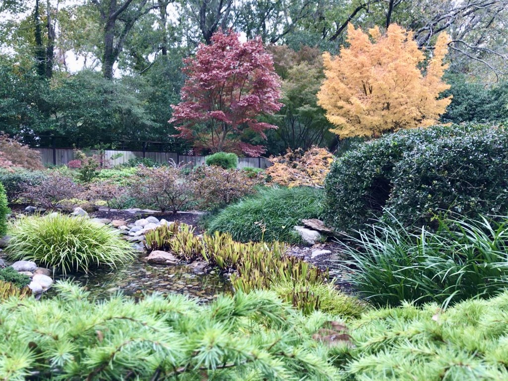 New Hanover County Arboretum – photo 9
