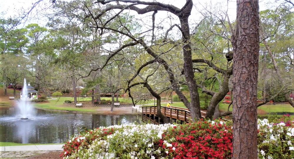 Long Leaf Park – photo 1