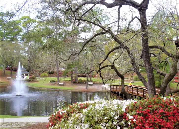 Long Leaf Park – photo 1