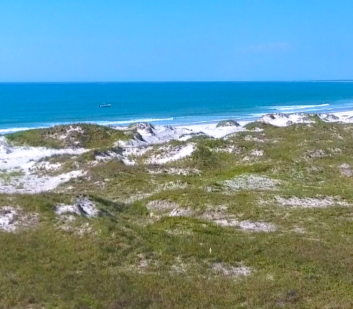 Masonboro Island Reserve – photo 3