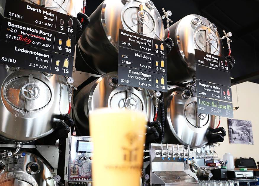 Mad Mole Brewing