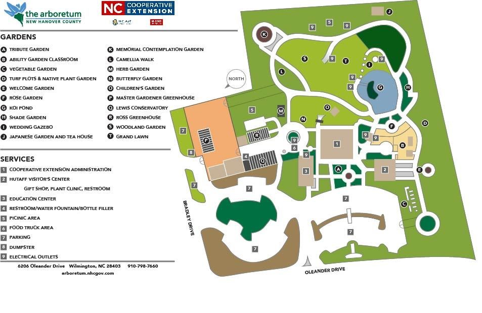New Hanover County Arboretum – photo 12
