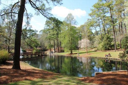 New Hanover County Parks & Gardens – photo 1
