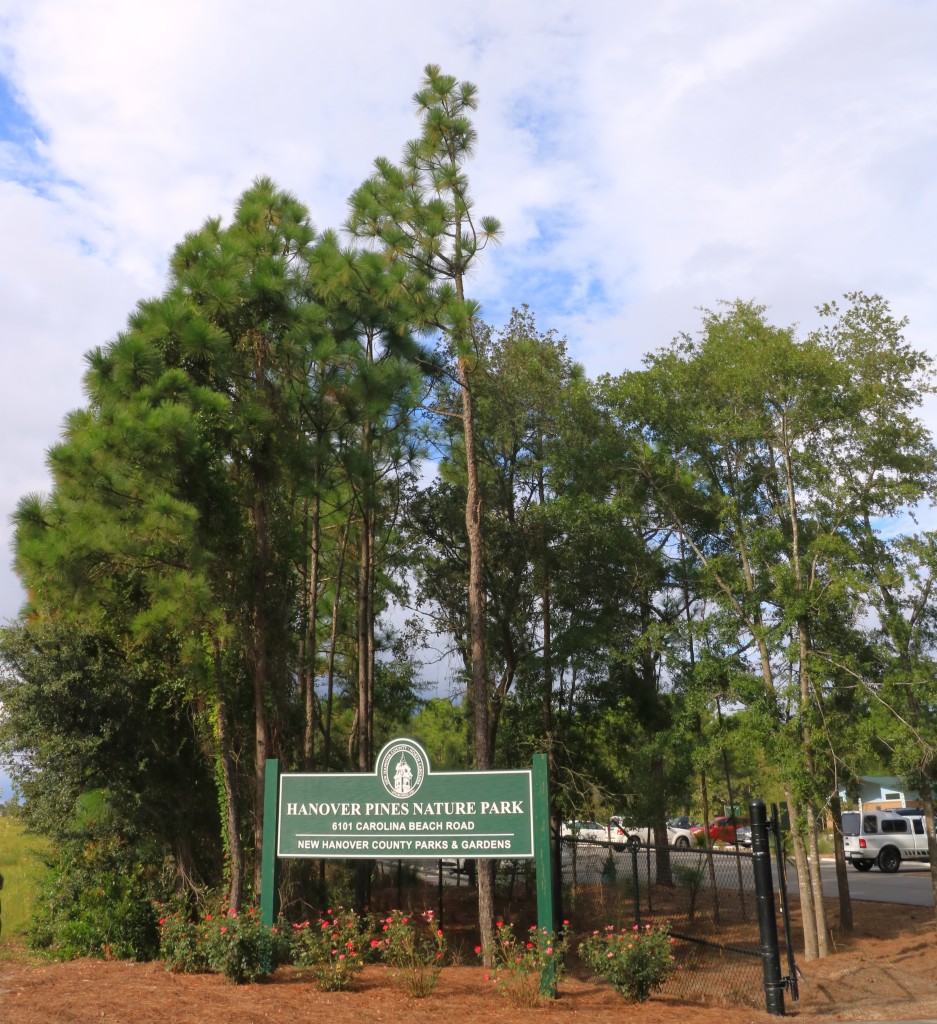 Hanover Pines Nature Park – photo 4