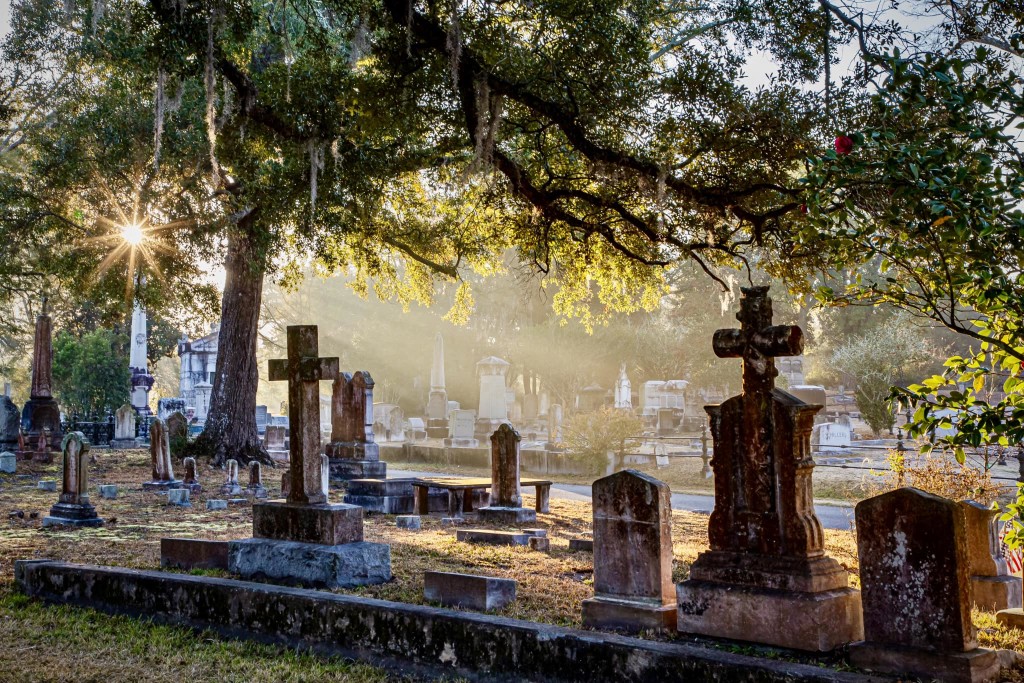Oakdale Cemetery – photo 4