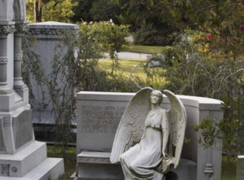 Oakdale Cemetery – photo 6