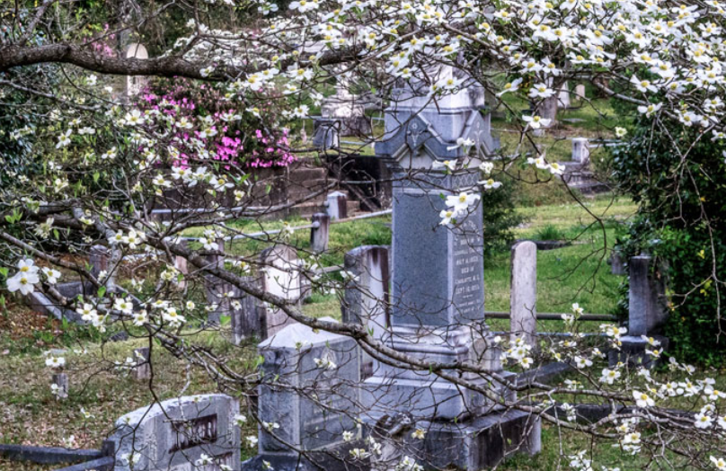 Oakdale Cemetery – photo 2