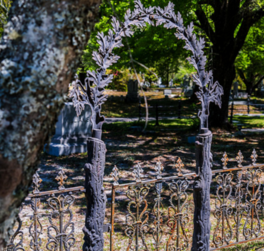 Oakdale Cemetery – photo 8