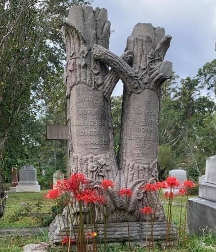 Oakdale Cemetery – photo 10
