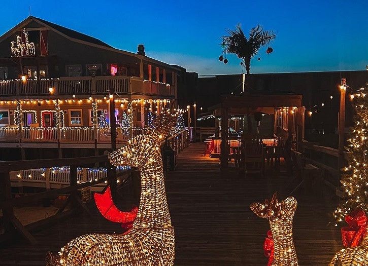 Christmas Palm Tree Lighting – photo 2