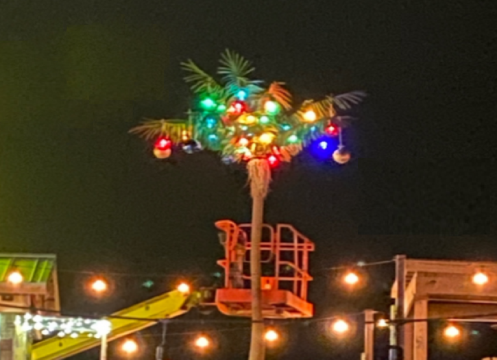 Christmas Palm Tree Lighting