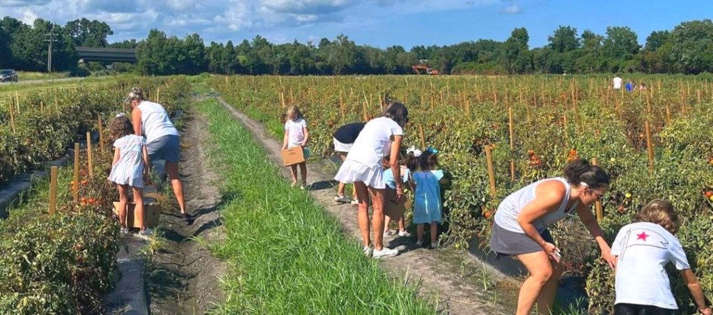 Trask Family Farms – photo 7
