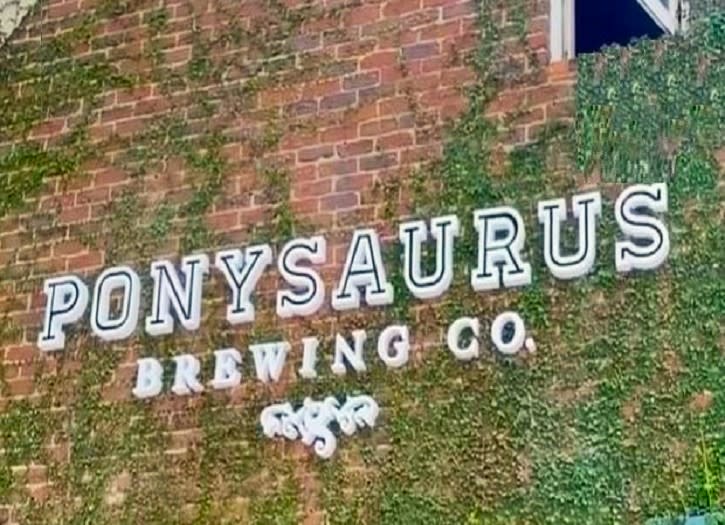 Ponysaurus Pizzeria and Beer Garden – photo 1