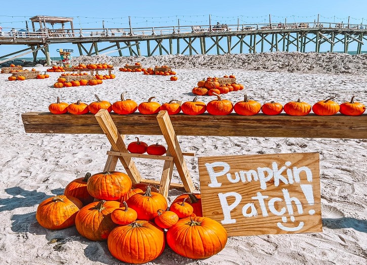 Carolina Beach Pier Pumpkin Patch