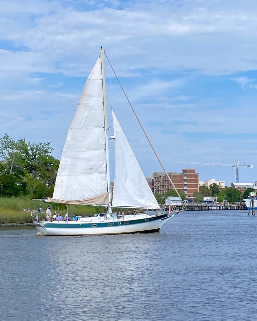 Ravens Nest Sailing – photo 5