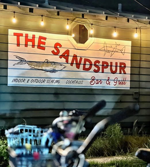 The Sandspur – photo 4