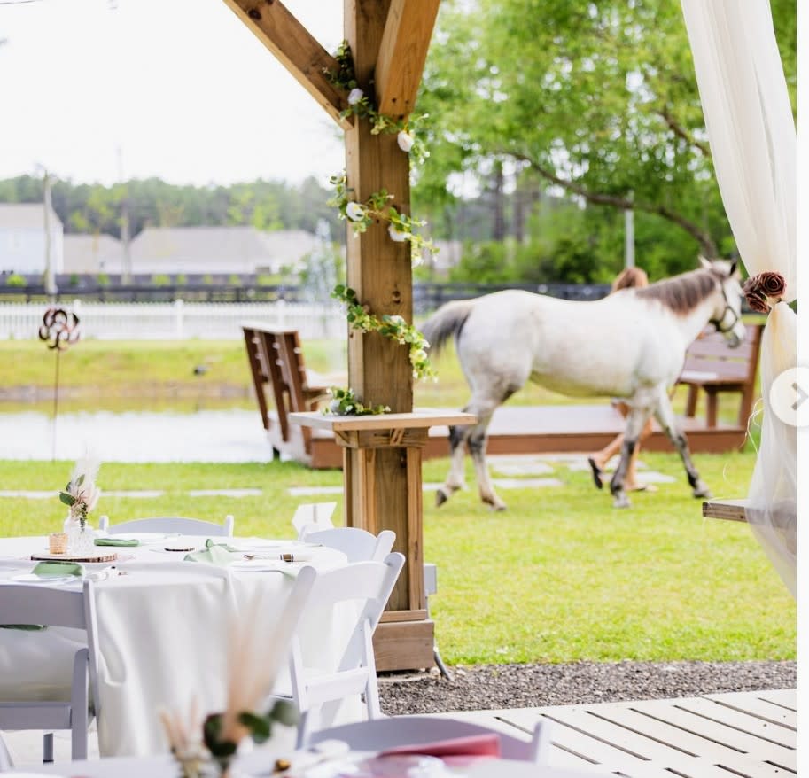 Riptide Stables & Family Farm – photo 9