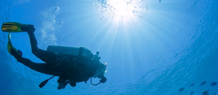 Carolina Beach Scuba – photo 6