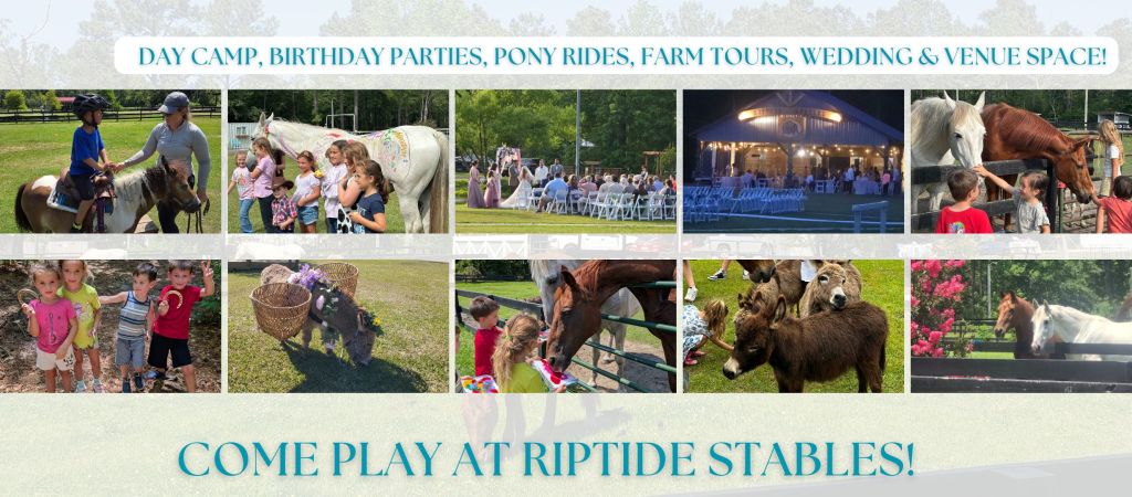 Riptide Stables & Family Farm – photo 4
