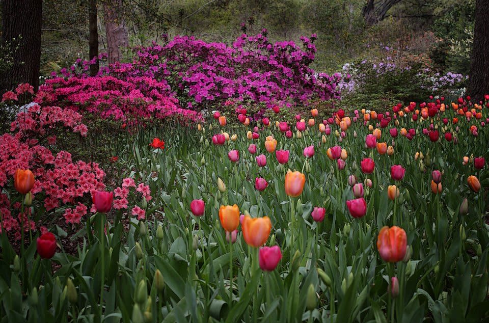 Airlie Gardens – photo 2