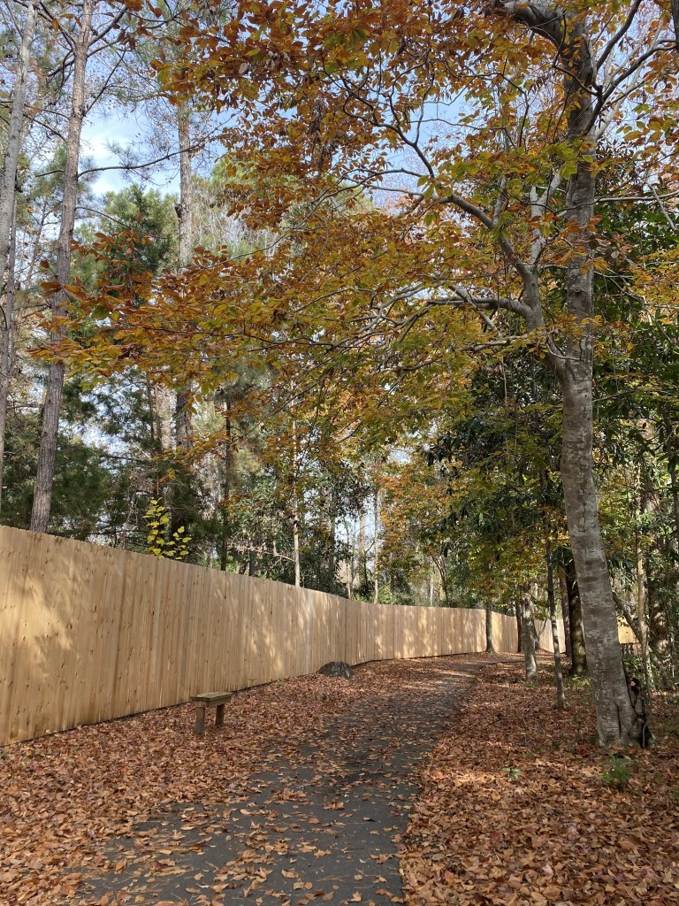 Summer Rest Trail – photo 2
