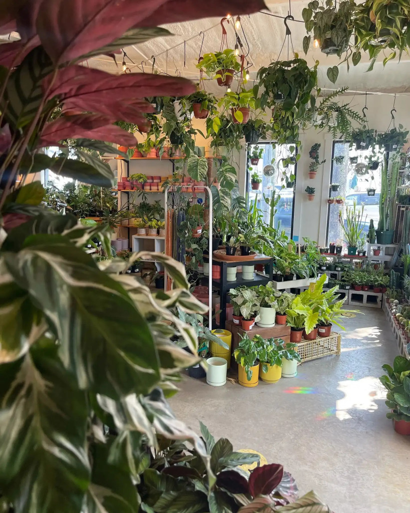 The Plant Outpost