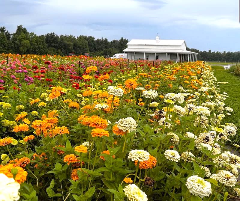 Trask Family Farms – photo 2