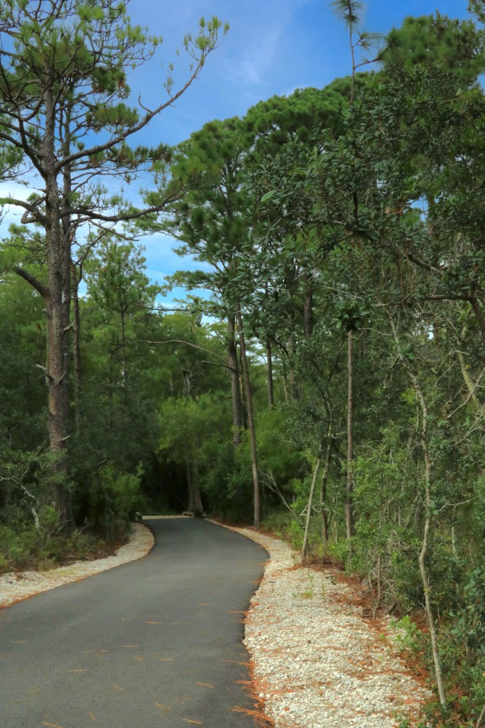 Hanover Pines Nature Park – photo 5