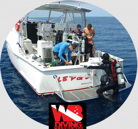 WB Diving – photo 2