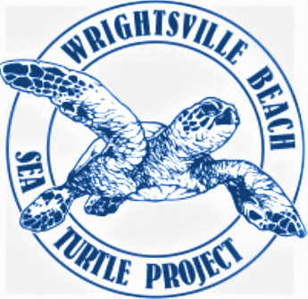 Wrightsville Beach Sea Turtle Project – photo 2